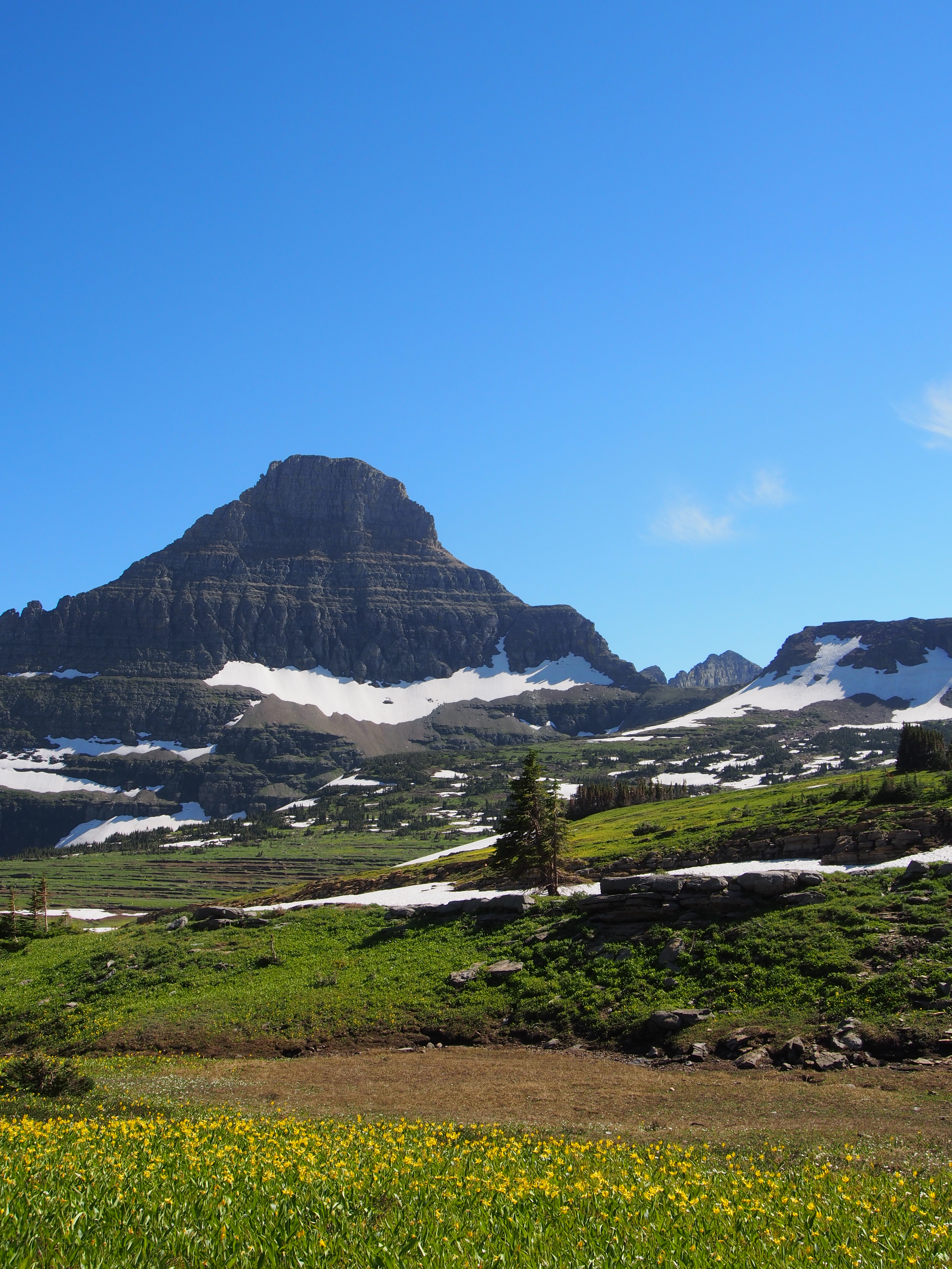 Portrait placeholder for Ari Biswas