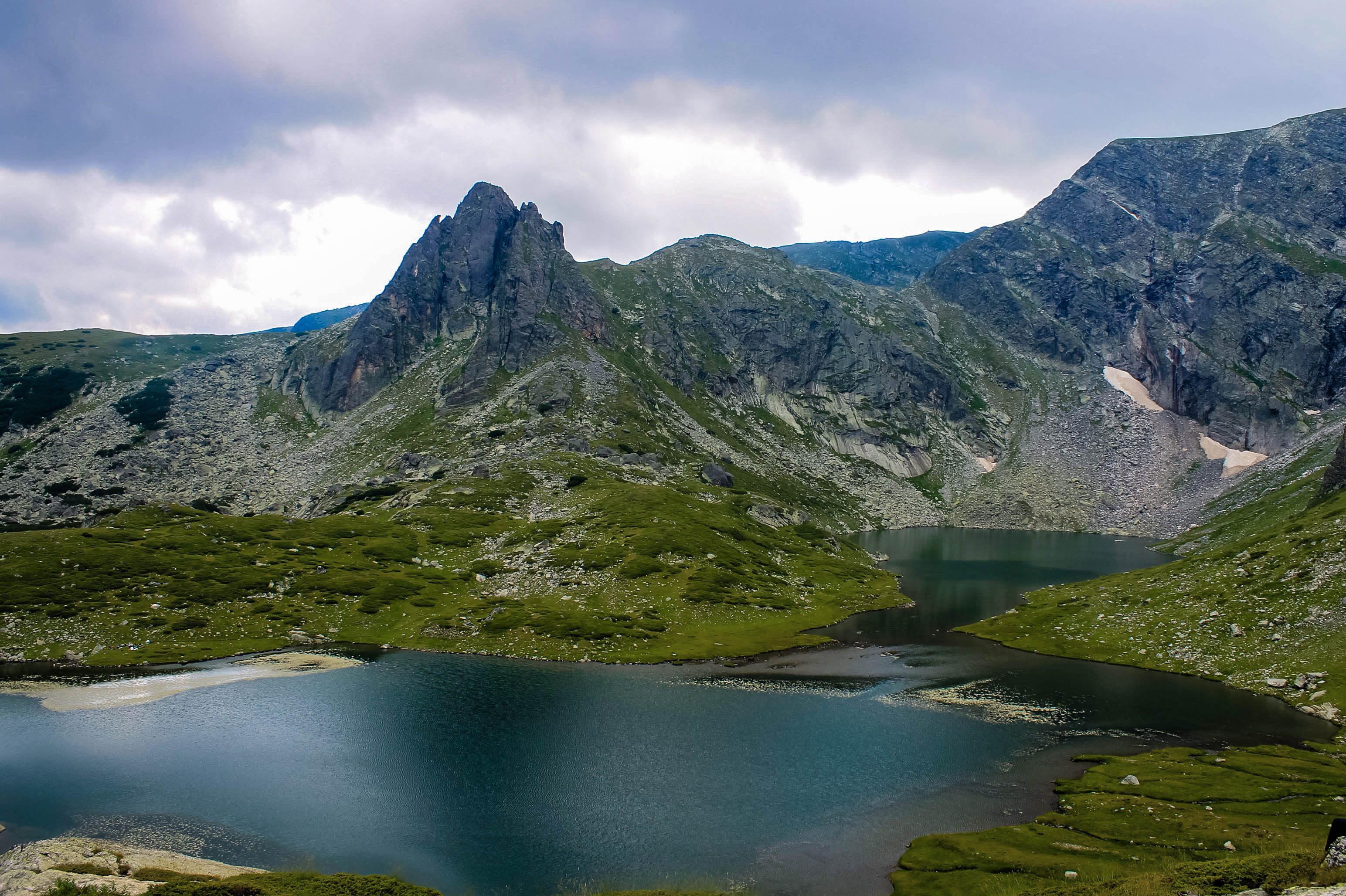 Portrait placeholder for Vicky Fouhy